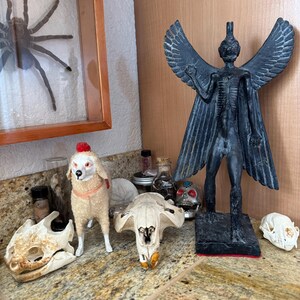 Brian added a photo of their purchase