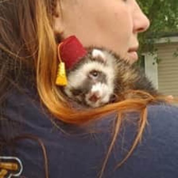 Customer photo of a pet with the Fez Hat mini small pet Cat Dog Hedgehog Vogue