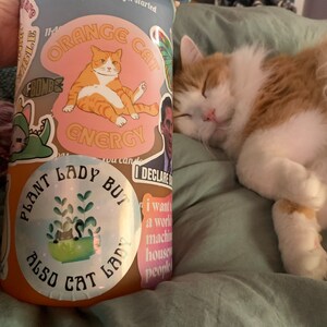 Stacey added a photo of their purchase