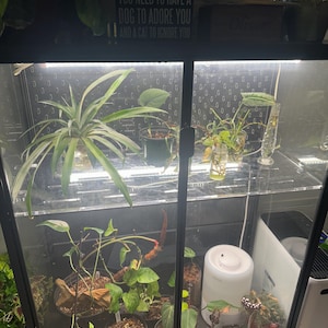 melissa added a photo of their purchase