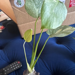 Robyn added a photo of their purchase