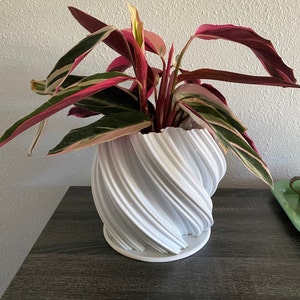 Kellie added a photo of their purchase