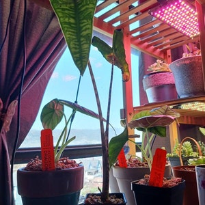 Carol added a photo of their purchase