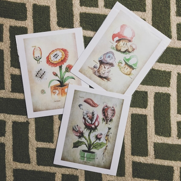SET of 3 - Super Mario Botanical Illustration 8.5