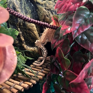 Heather added a photo of their purchase