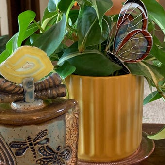 Sign in with Apple user image