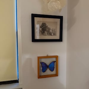 Emma added a photo of their purchase