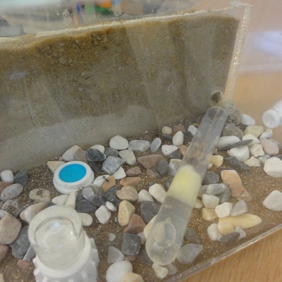Sand Ant Farm Basc Anthll, Formcarum, Educatonal, Ants NO ANTS