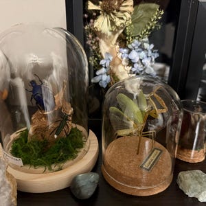 Casey added a photo of their purchase