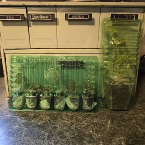 Felix added a photo of their purchase