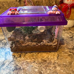 Karen added a photo of their purchase
