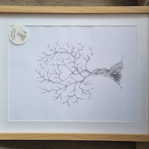 Carine hat ein Foto des gekauften Artikels hinzugefügt