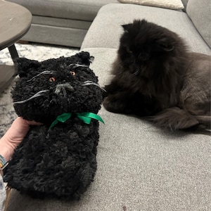 Zoey added a photo of their purchase