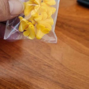 Tammy added a photo of their purchase