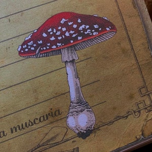 Patryk added a photo of their purchase