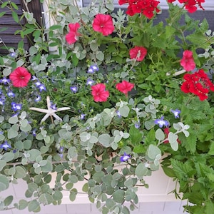 Rosalyn Shepard added a photo of their purchase