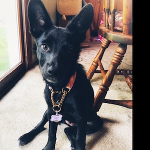 Sharessa added a photo of their purchase