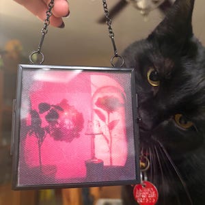 Perri heeft een foto van de aankoop toegevoegd