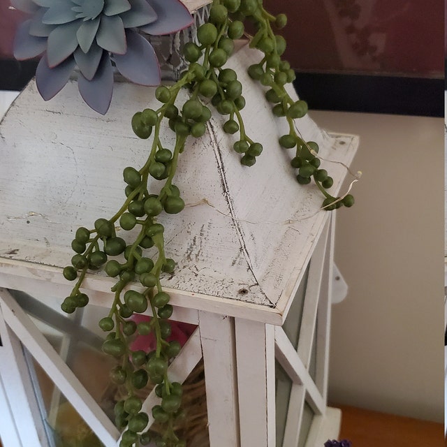 Briful Fake Hanging Plants String of Pearls Plant Hanging Succulents Plants  A