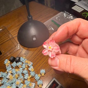 Cynthia added a photo of their purchase