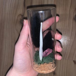 Maddy added a photo of their purchase