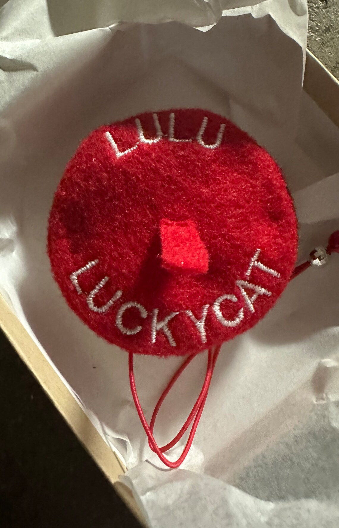 Customer photo of a pet with the Beret Personalized for small pet Raspberry