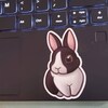 Black Dutch Rabbit Sticker; Cute Printed Vinyl Bunny Sticker ...