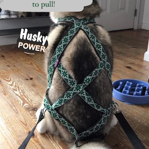 catherine さんが購入した商品の写真を追加しました