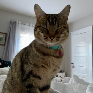 Kate ha añadido una foto de su compra