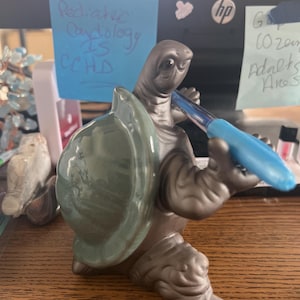 Kim added a photo of their purchase