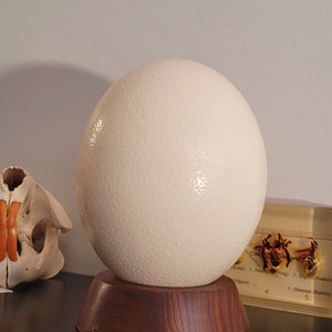 Alec added a photo of their purchase