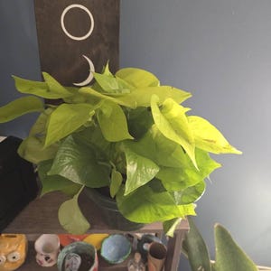 Jill added a photo of their purchase