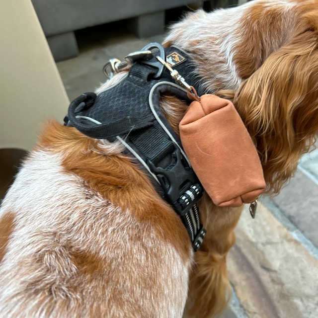 パーソナライズされたレザー製犬用うんち袋ホルダー、犬用うんち袋