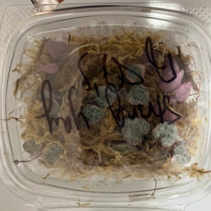 Etsy buyer added a photo of their purchase