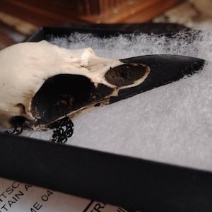 Bone Jewelry Raven Skull Necklace, Bird Skull, Gothic Jewelry, Goth Gift, Oddities and Curiosities, Witchy, Viking Pendant, 2.75 inches