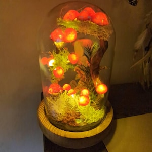 Rae added a photo of their purchase
