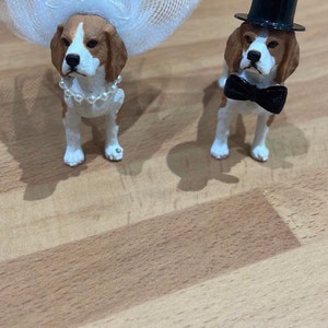 Jane added a photo of their purchase