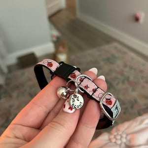 Audrey added a photo of their purchase
