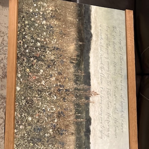Ariella added a photo of their purchase