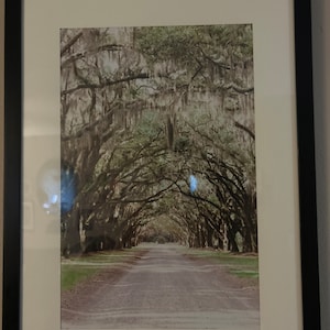 Vilma added a photo of their purchase