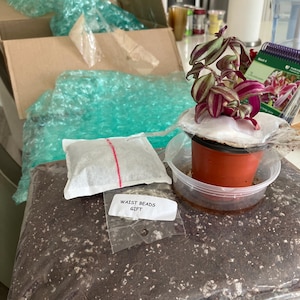 Mary added a photo of their purchase
