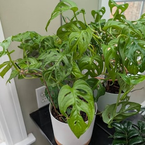 Jim added a photo of their purchase