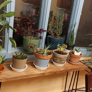 Ginny added a photo of their purchase
