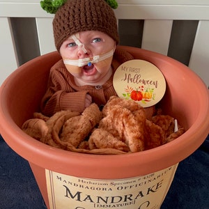 Personalized The Mandrake Root Hat Beanie Newborn Teen -  Portugal