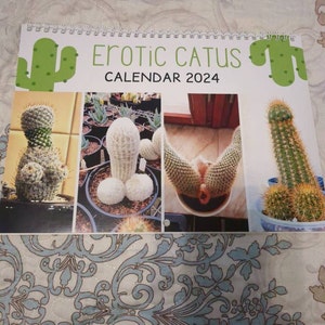 Calendrier mural amusant 2024 avec Cactus Érotique Cadeau bâillon Humour  adulte Cadeaux déléphant blanc Père Noël secret Noël drôle -  France