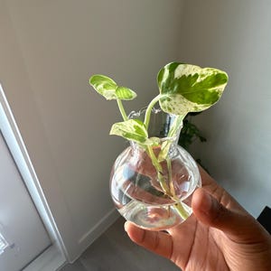 Nneka added a photo of their purchase