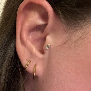 Stacey added a photo of their purchase