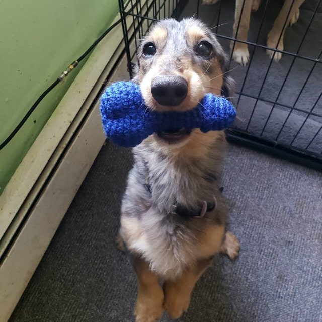 weird DOG TOYS HEART squeaker toy crocheted funny cute Etsy