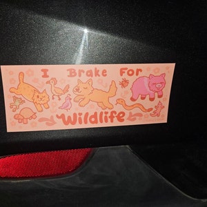 Aqkslsoszn added a photo of their purchase
