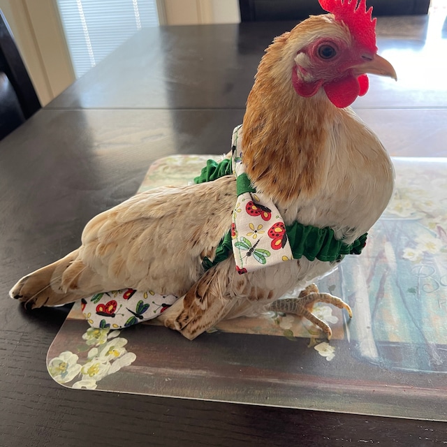 Pannolini Per Anatre Per Anatre Da Compagnia,Pannolini Per Anatre - Pannolino Per Galline Per Animali Domestici,Pannolini Per Anatre Riutilizzabili Con Papillon, Pannolini Lavabili In Tessuto Stampato